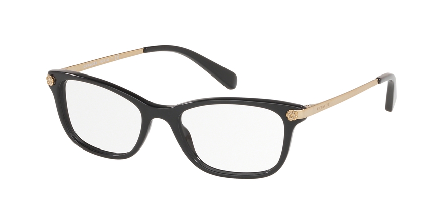 COACH 0HC6142 Glasses